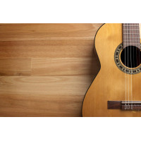 gitarist.kz 