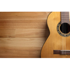gitarist.kz 