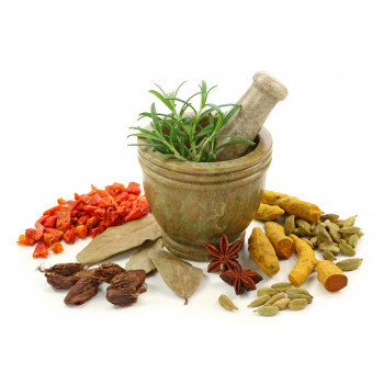 домен herbal.kz