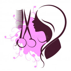 vipsalon.kz 