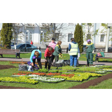 zelenstroy.kz 